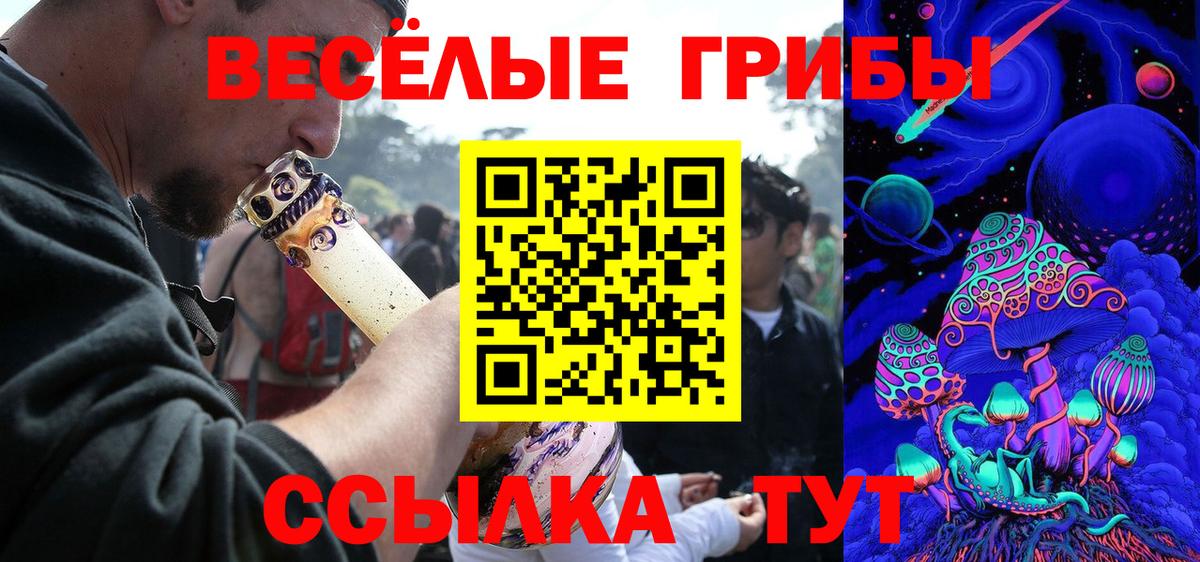 Псилоцибиновые грибы GOLDEN TEACHER Кохма