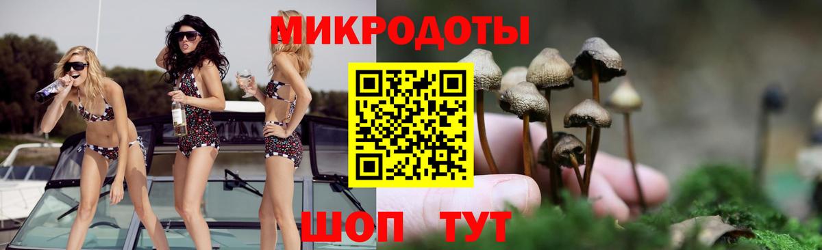 закладки  Псилоцибиновые грибы Magic Shrooms  Вход с VPN  Псилоцибиновые грибы Psilocybine cubensis  Кохма 
